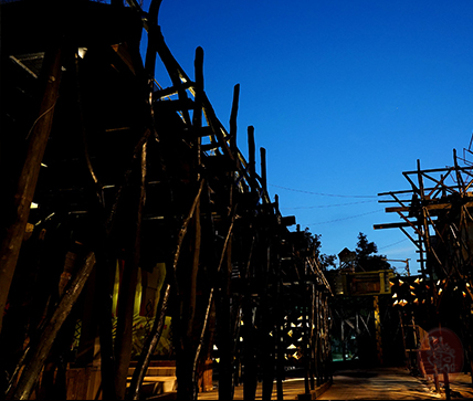 Samaj Sebi Sangha Durgapuja Gallery 2020